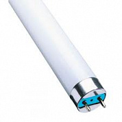 Люминесцентная лампа TLD 36W/640 G13, Philips